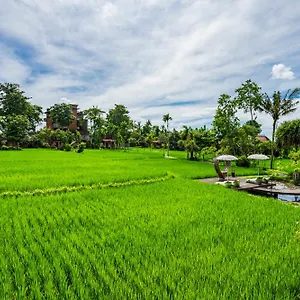 kajane-yangloni.ubudhotelsnow.com/